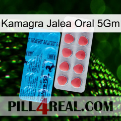 Kamagra Oral Jelly 5Gm new14